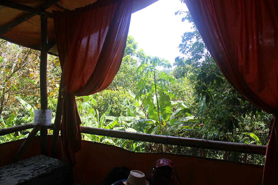 cabane jungle costa rica