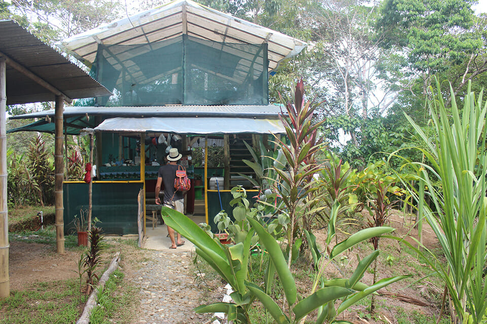 cabina jungle costa rica