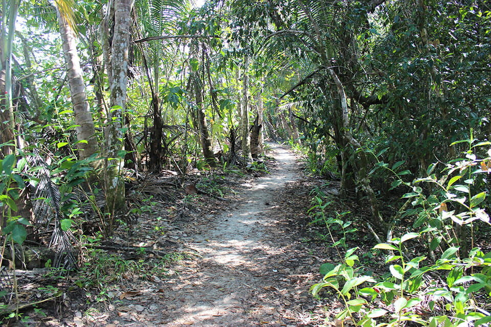 cahuita parc national costa rica