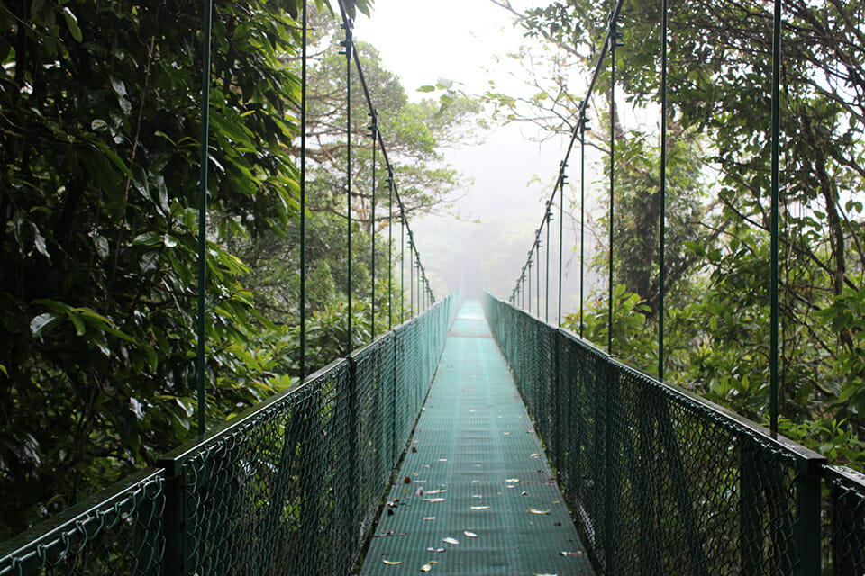 pont suspendu costa rica monteverde