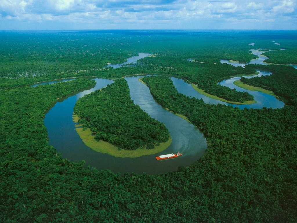 Envol Vert : S&rsquo;engager pour la forêt amazonienne !