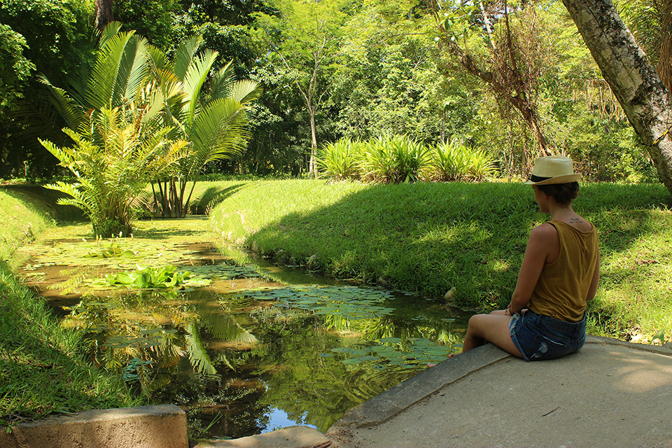 rio-jardin-botanique-pont