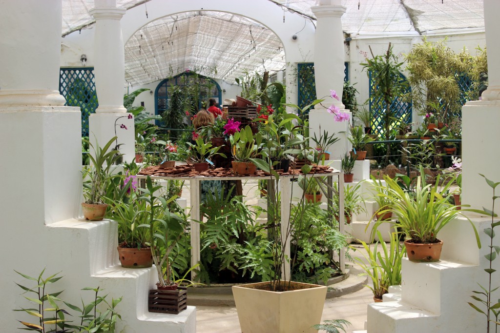 rio-jardin-botanique-serre