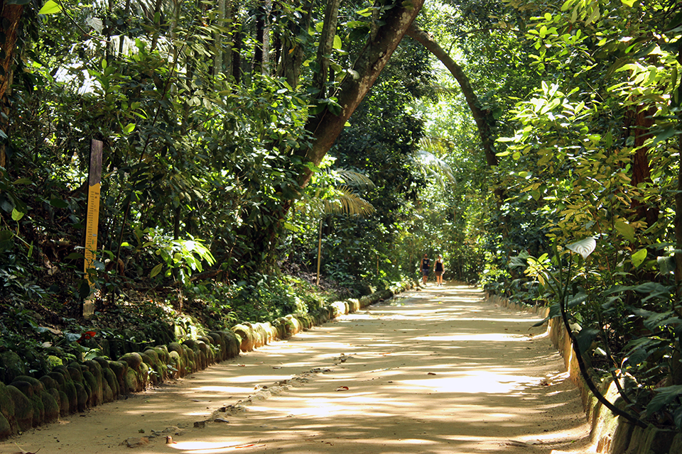 rio-jardin-botanique
