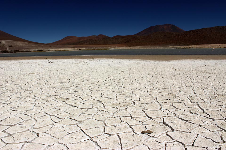 chiar,khota, bolivie