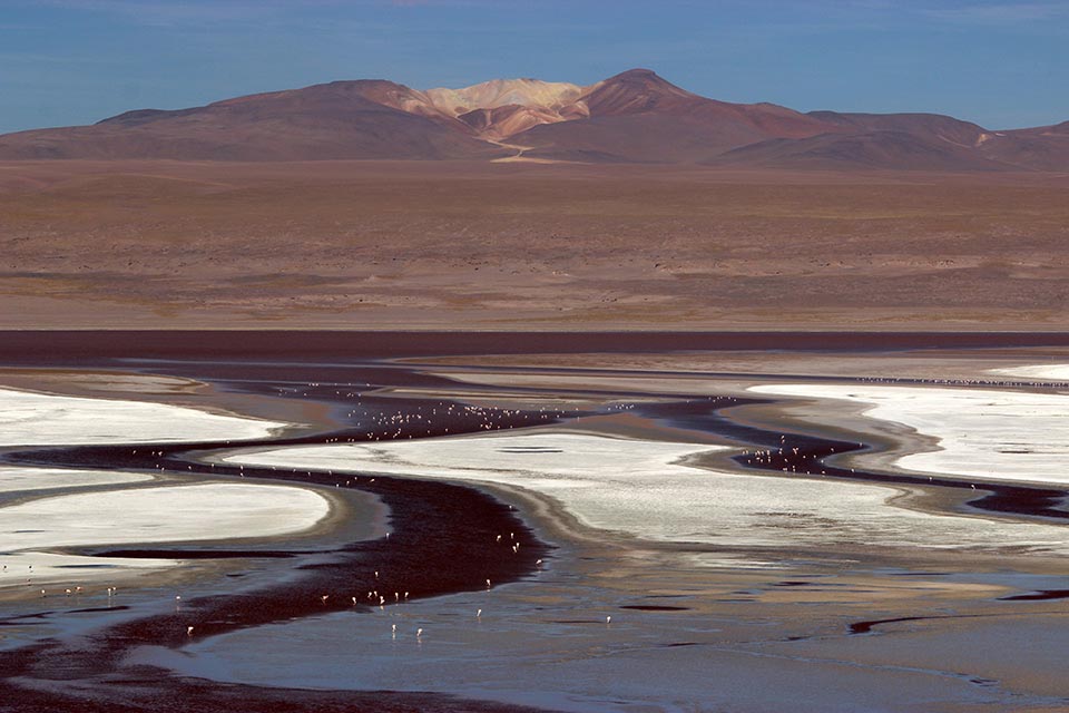 laguna, colorada, paysage