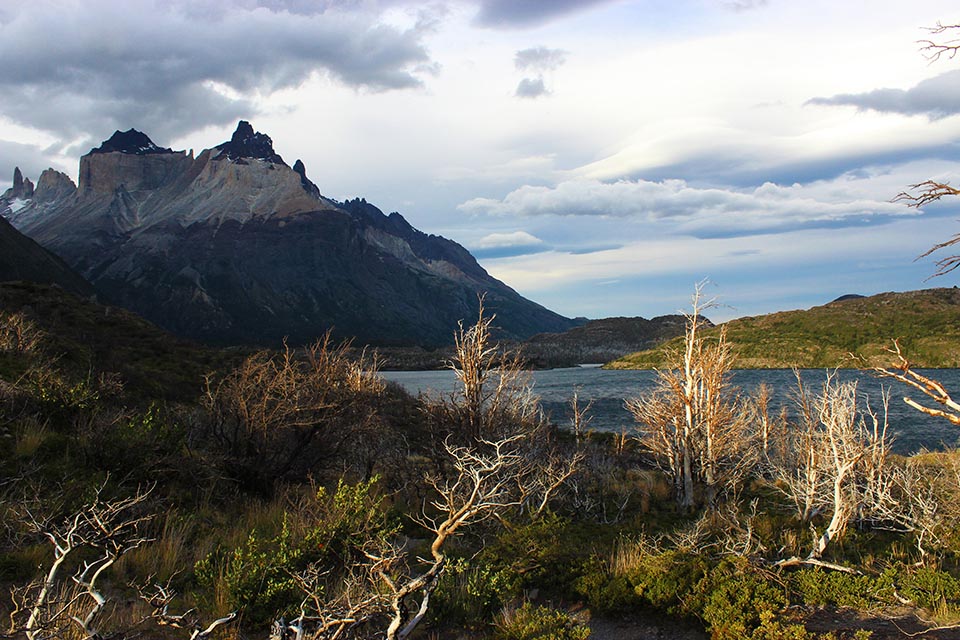 torres-del-paine-colline