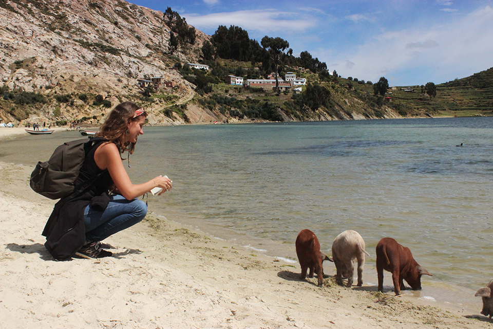 explore le monde, bolivie, cochons