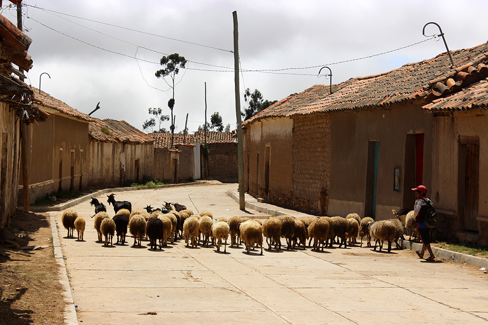 mercado, tarabouco, sucre, bolivie, village