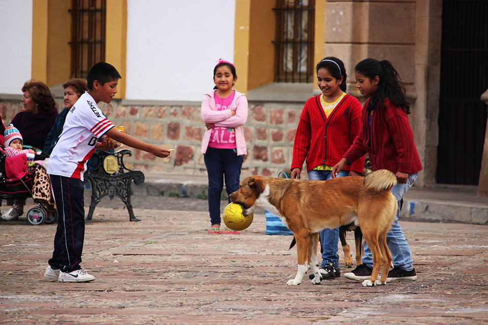 plaza, ninos, sucre, ville blanche