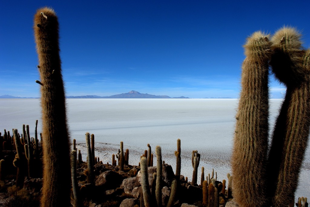 salar-isla-incahuasi