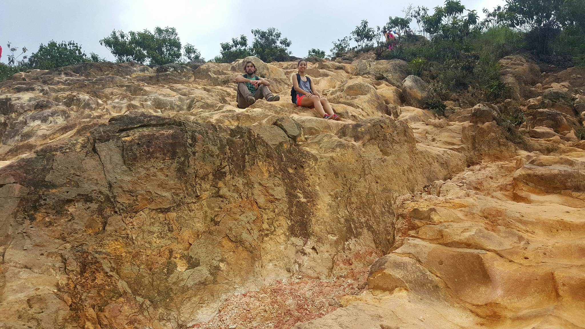 13321095_10209010099910393_247928618_o