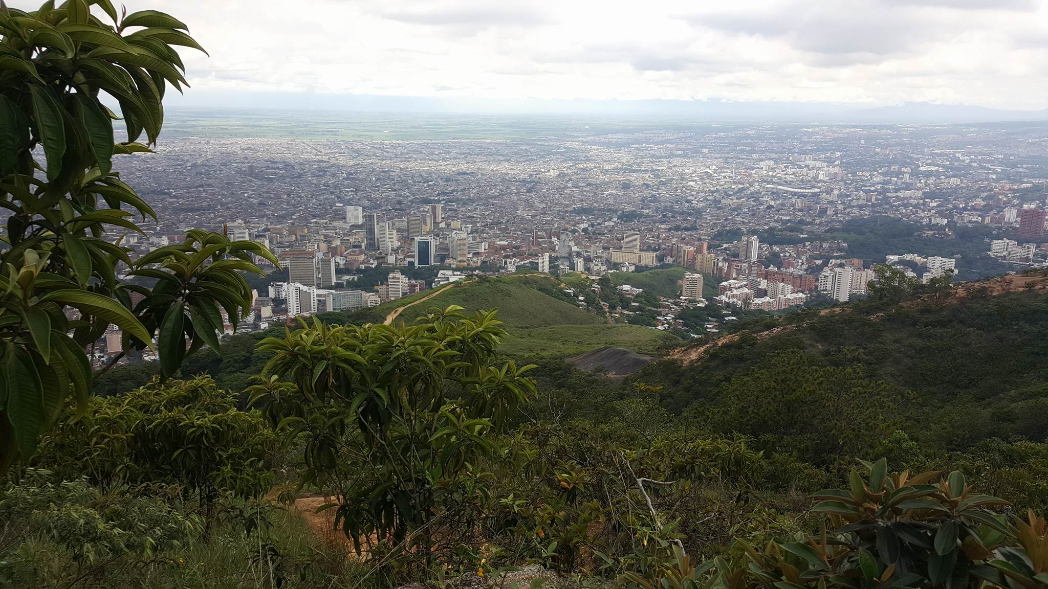 13324125_10209010099750389_1275916029_o