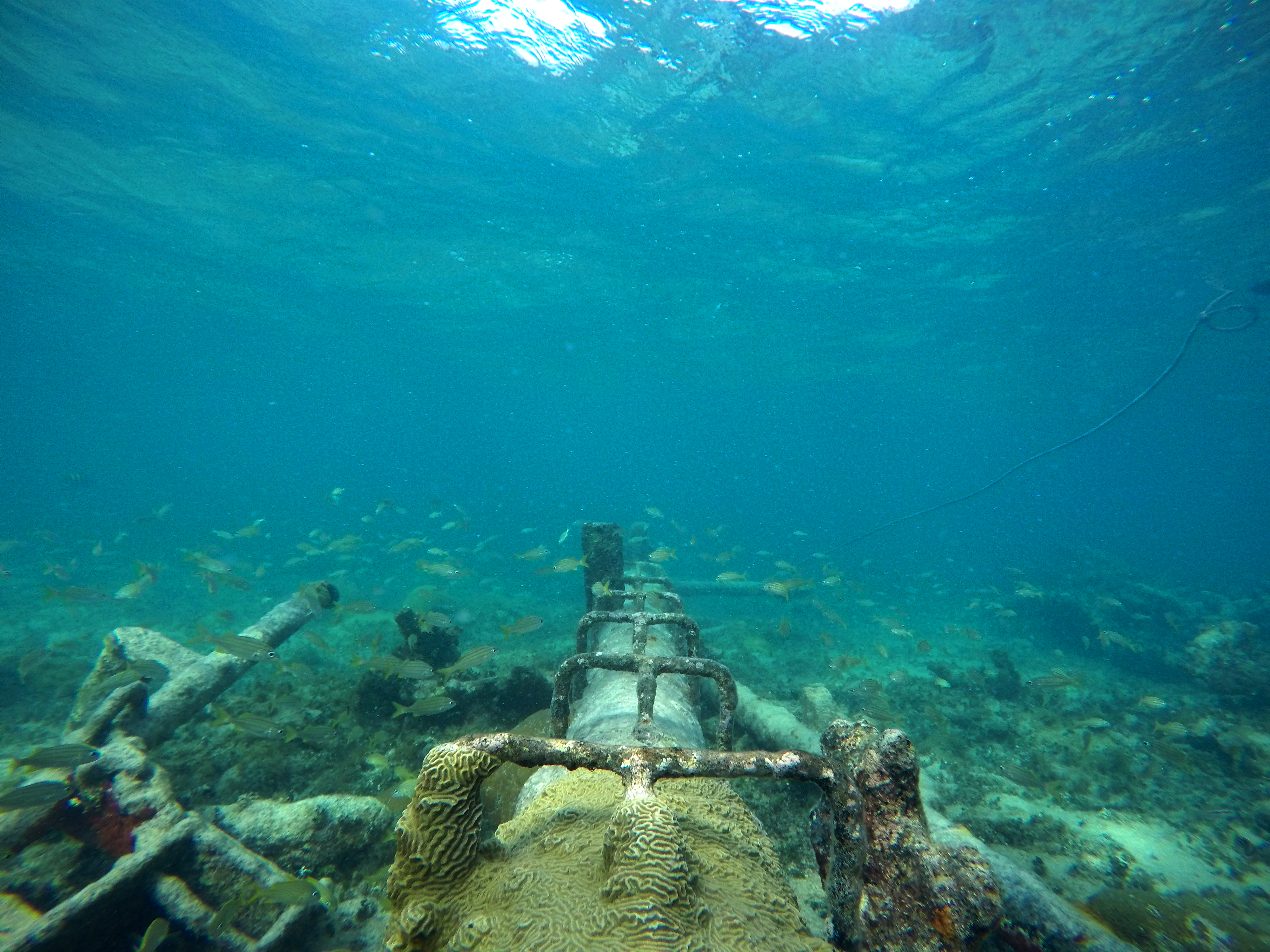 DCIM100GOPROG0401298.