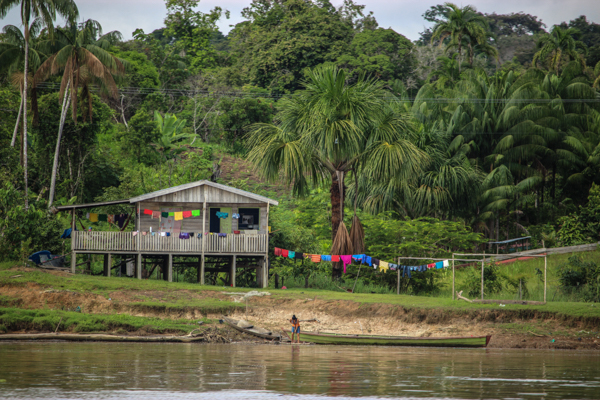 amazonie-amazone-maison