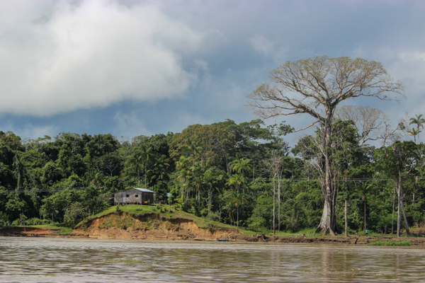amazonie-amazone-peuples