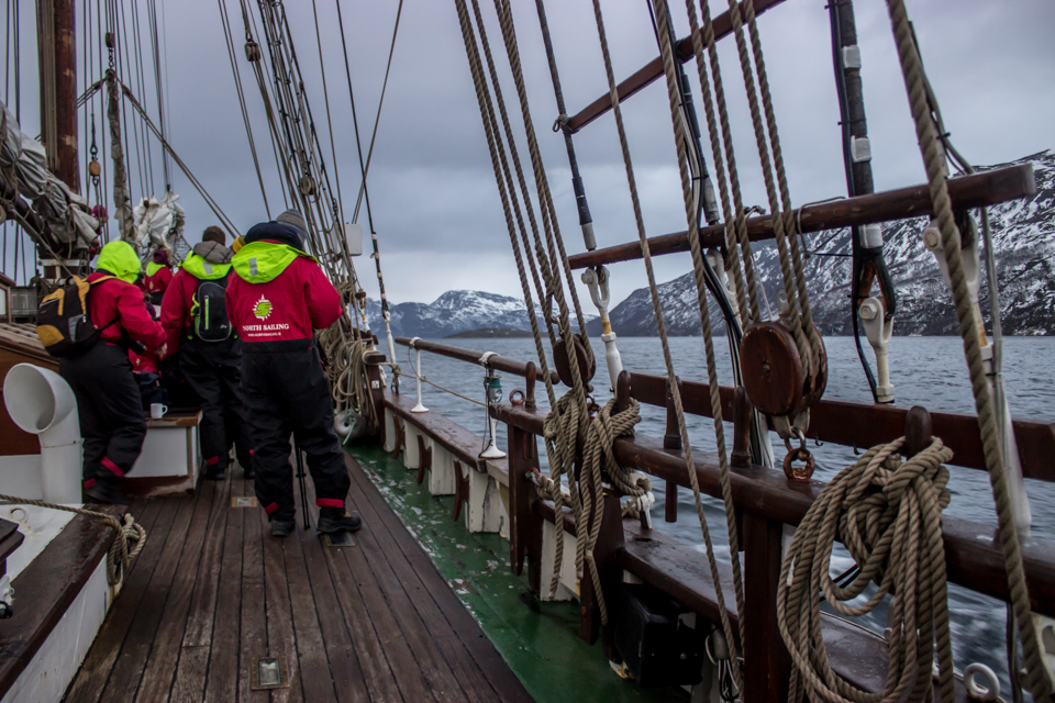 observer-orques-north-sailing