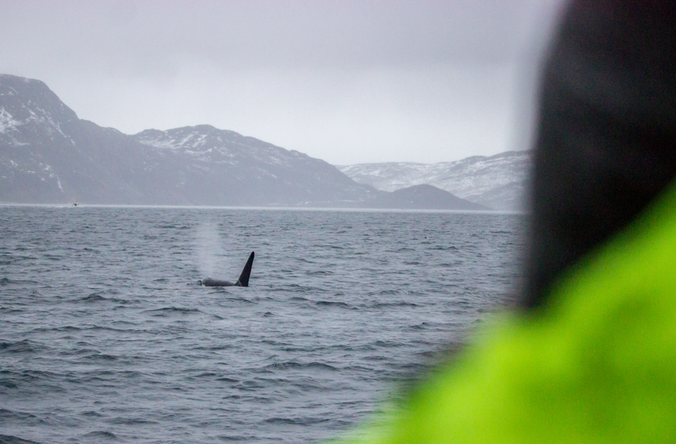 contact@explorelemonde.com