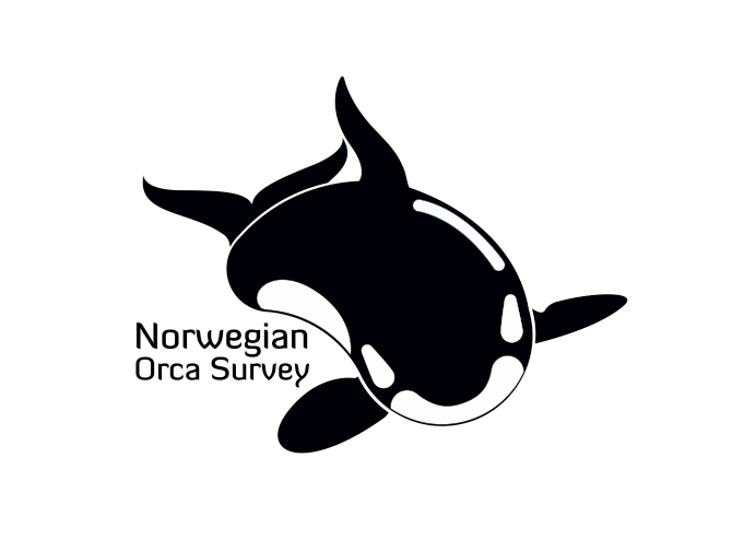 Norwegian-orca-survey