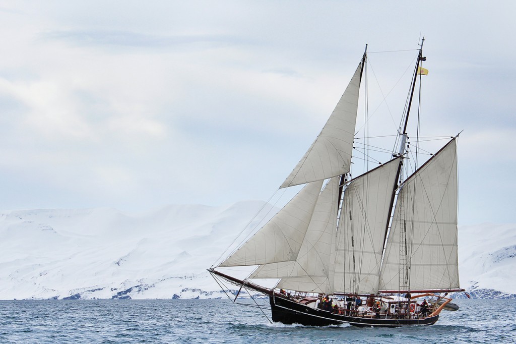 bateau-north-sailing-observation-orques 