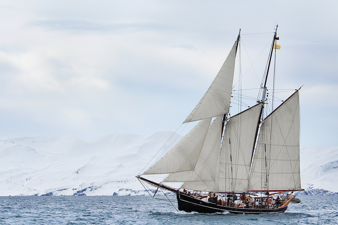 Voilier permettant l'observation des orques de façon responsable à Tromso, en Norvège