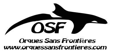 orques-sans-frontieres