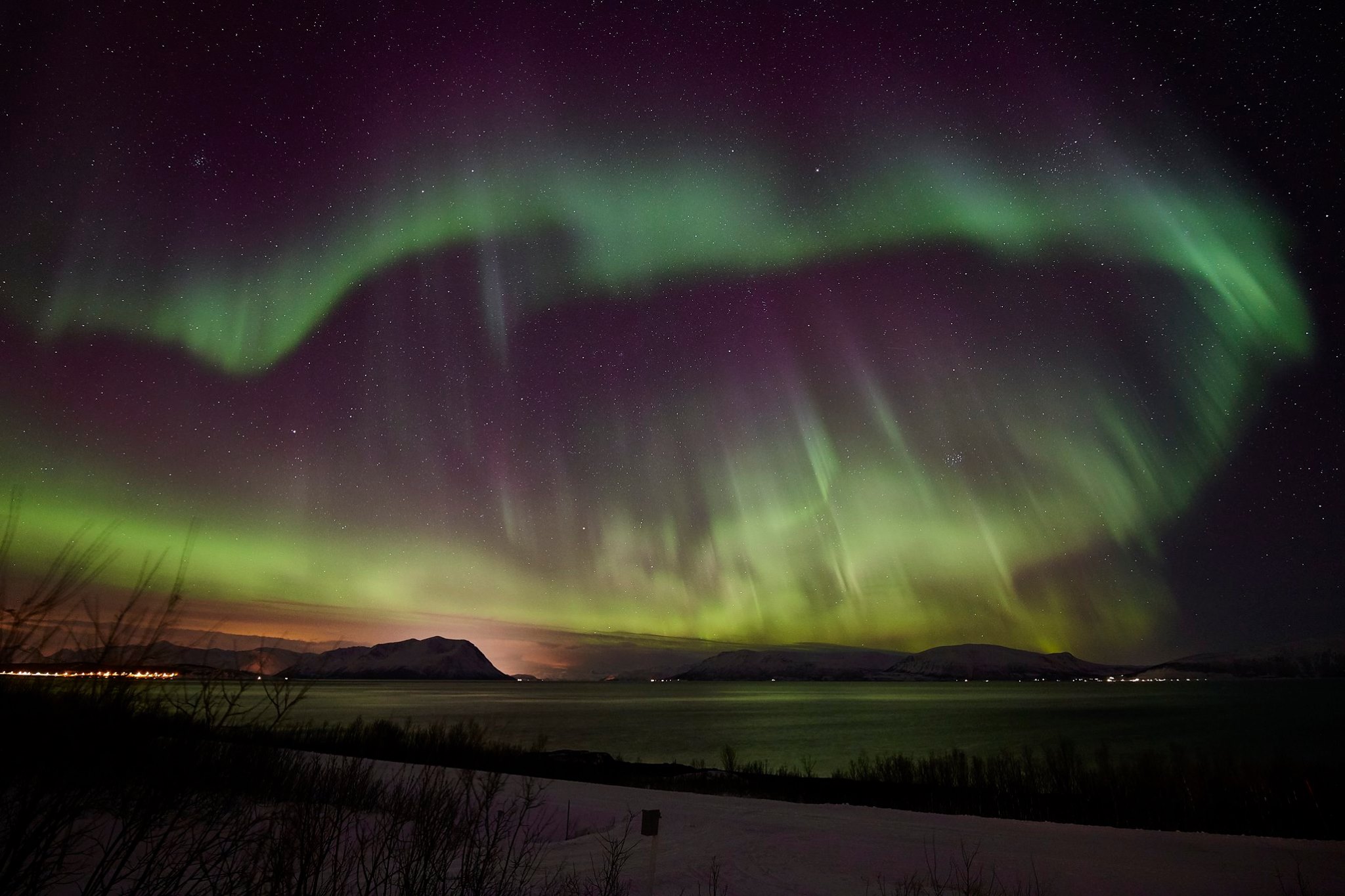 aurores-boreales-francisco