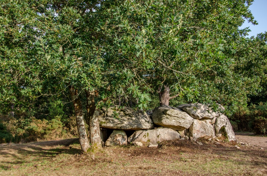 sejour-bretagne-segway-forêt-dolmen