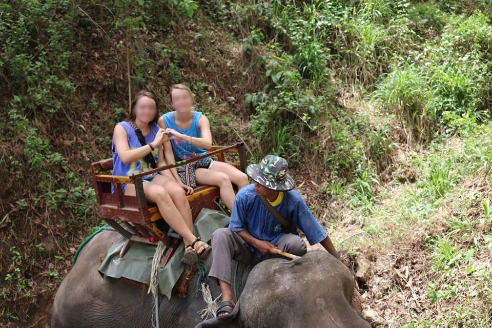 bullhook-elephant-balade