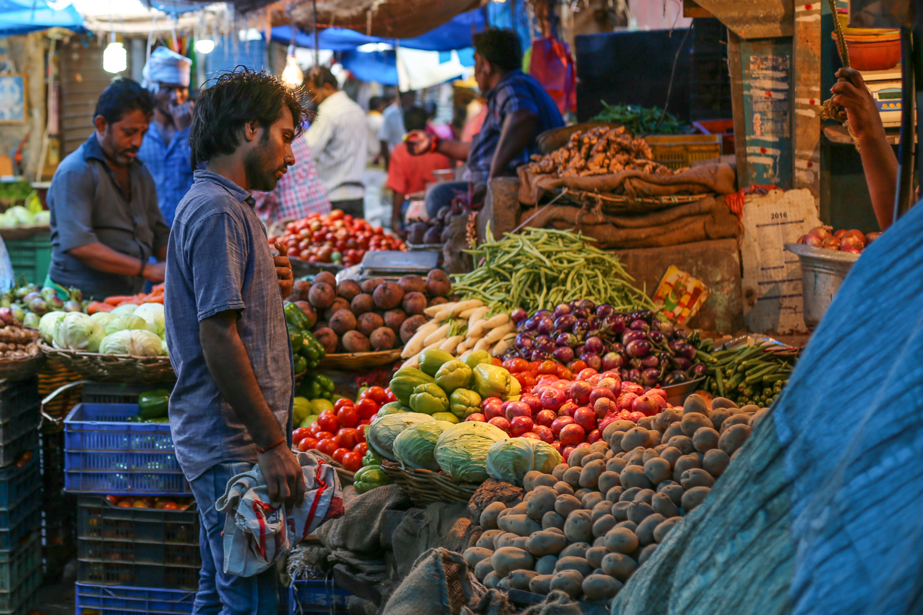 Inde-marché-fruits-légumes-pondichery-goubert-market