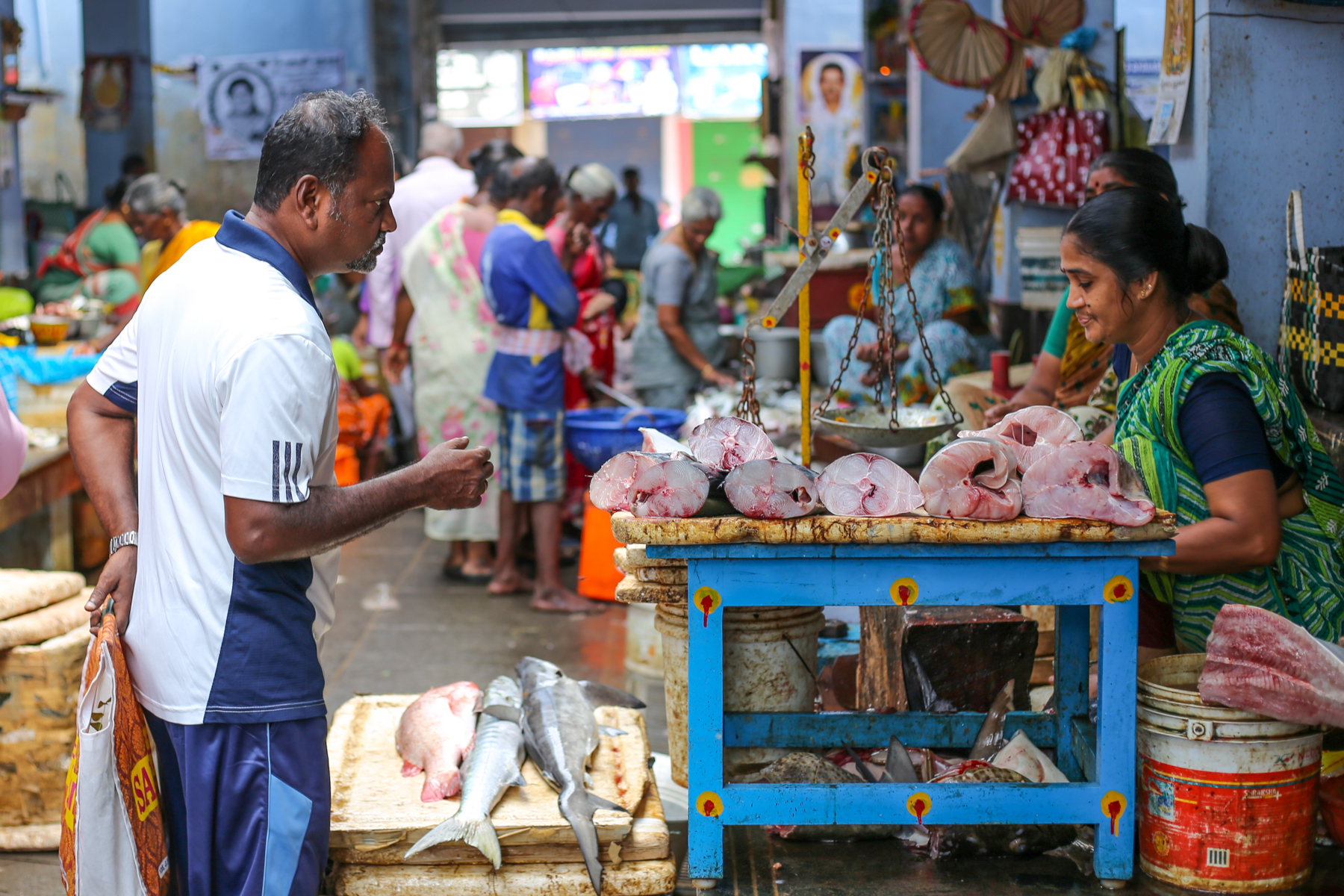 Inde-marché-pondichery-goubert-market-poissons