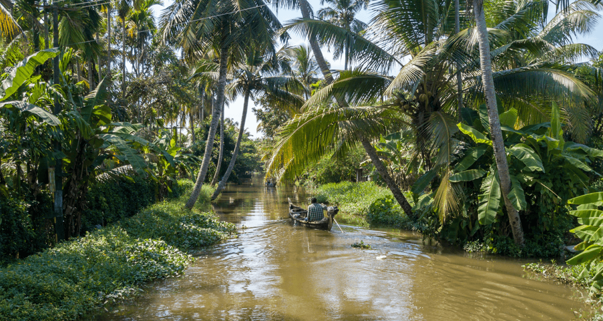 Fondatrice de la ferme de café familiale en Tanzanie