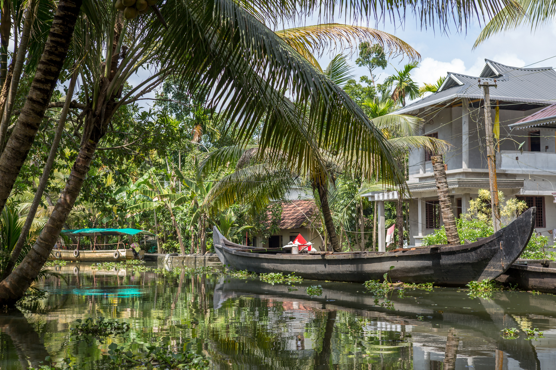 backwaters-inde-kerala-alleppey-