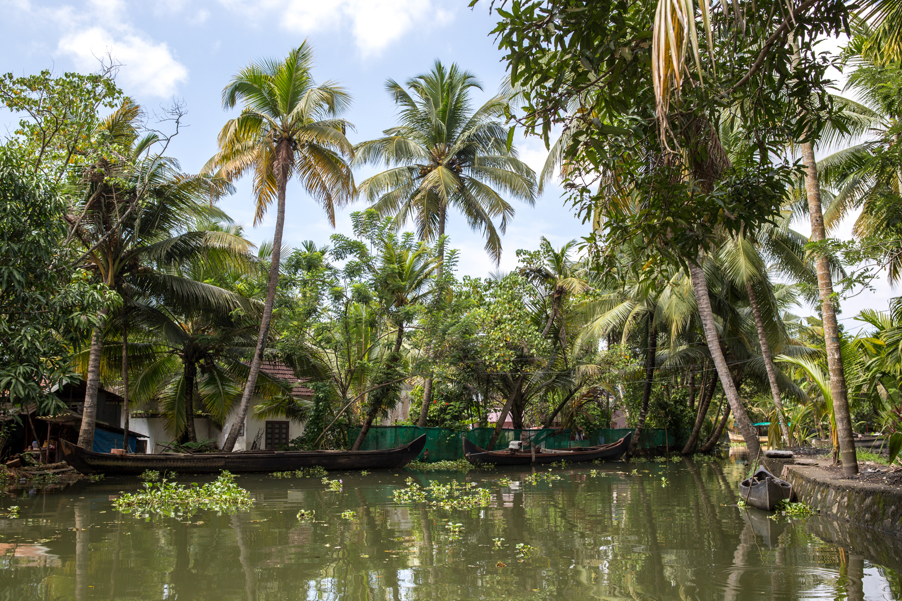 backwaters-kerala-inde-alleppey