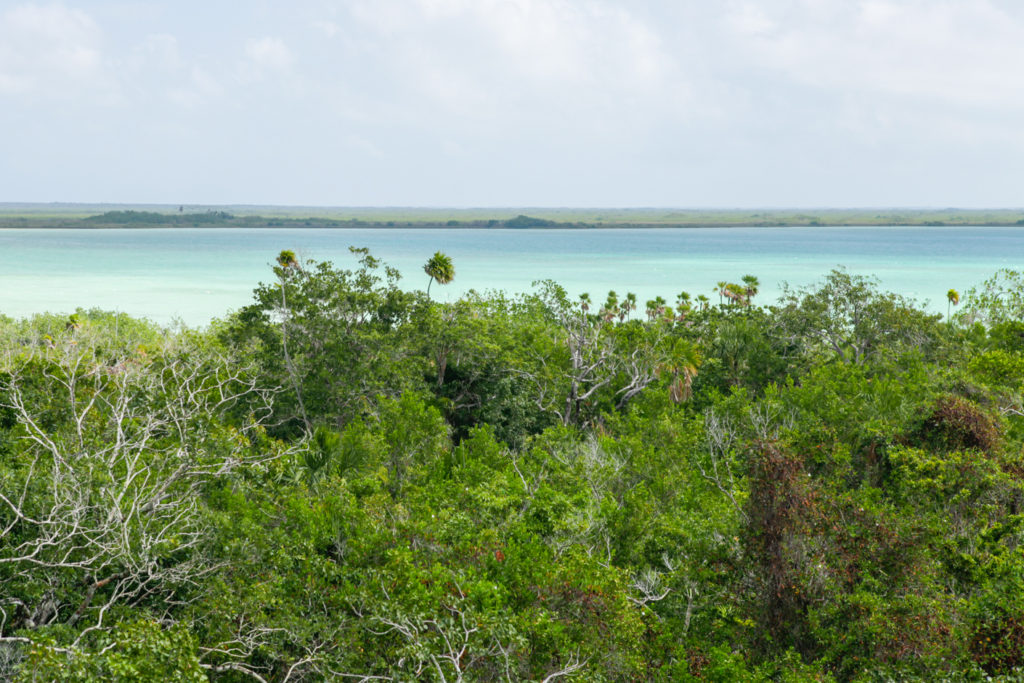 Muyil-laguna-sian ka'an-mexique-maya-ruines
