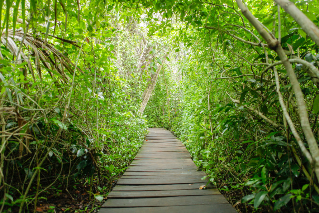 Muyil-sian ka'an-reserve-mexique-laguna