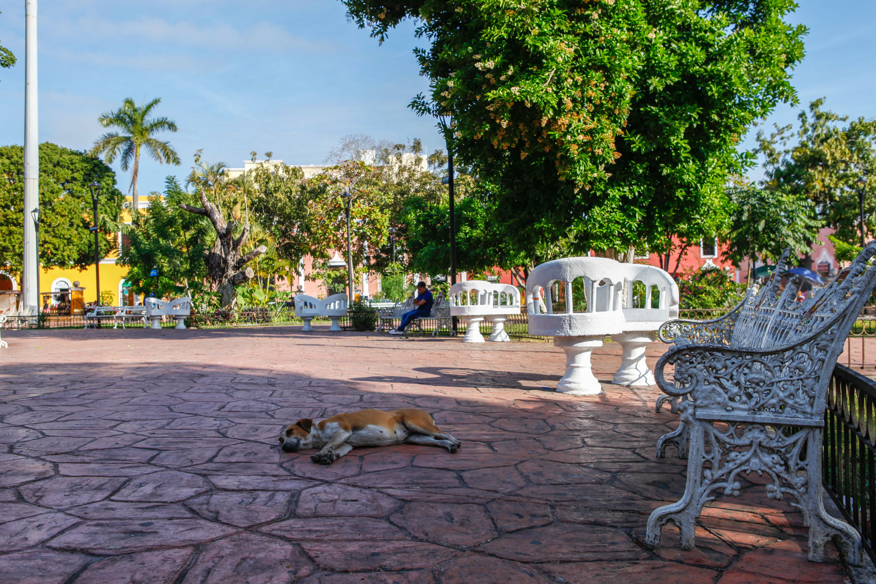 Valladolid-Mexique-voyage-parc