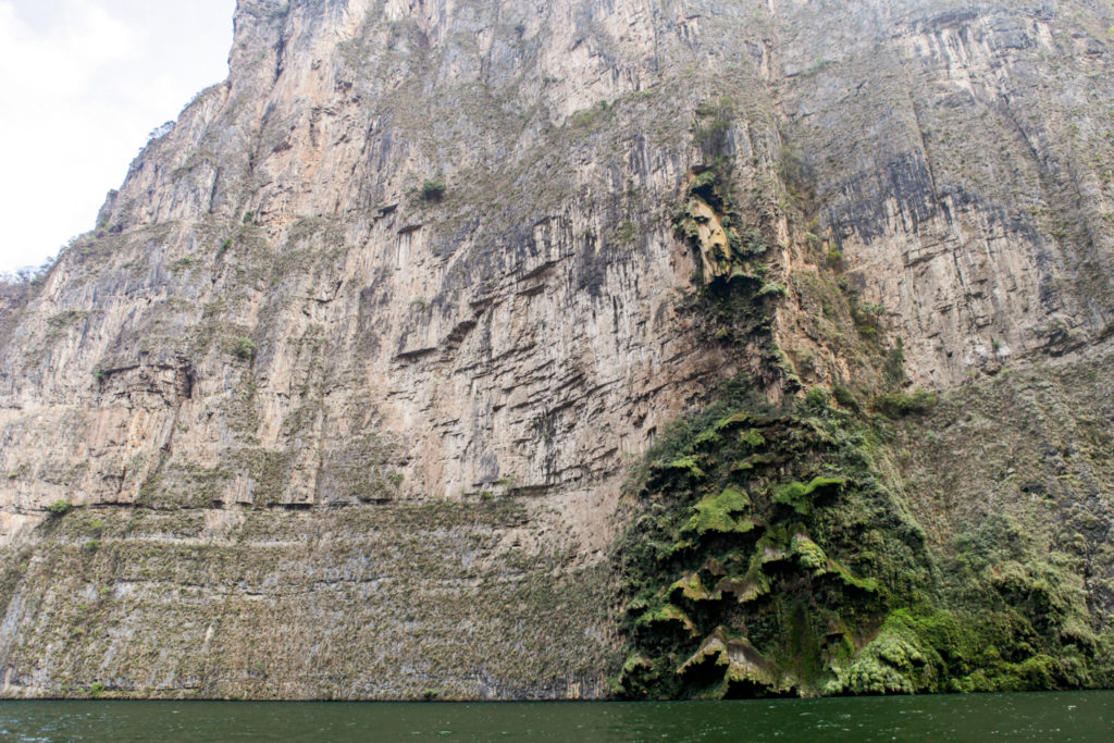 canyon-sumidero-chiapas-mexique-sapin