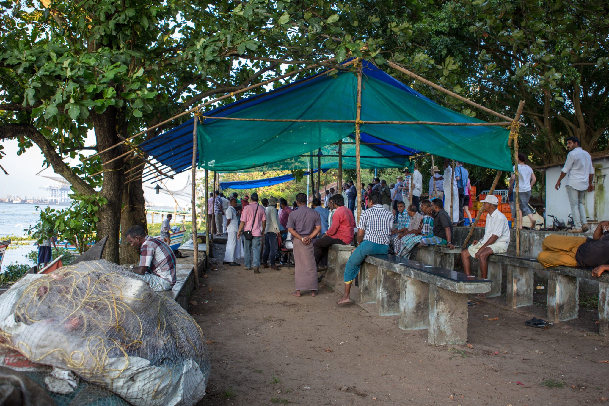 Kerala-cochin-poisson-pêcheurs-inde-criée-visite
