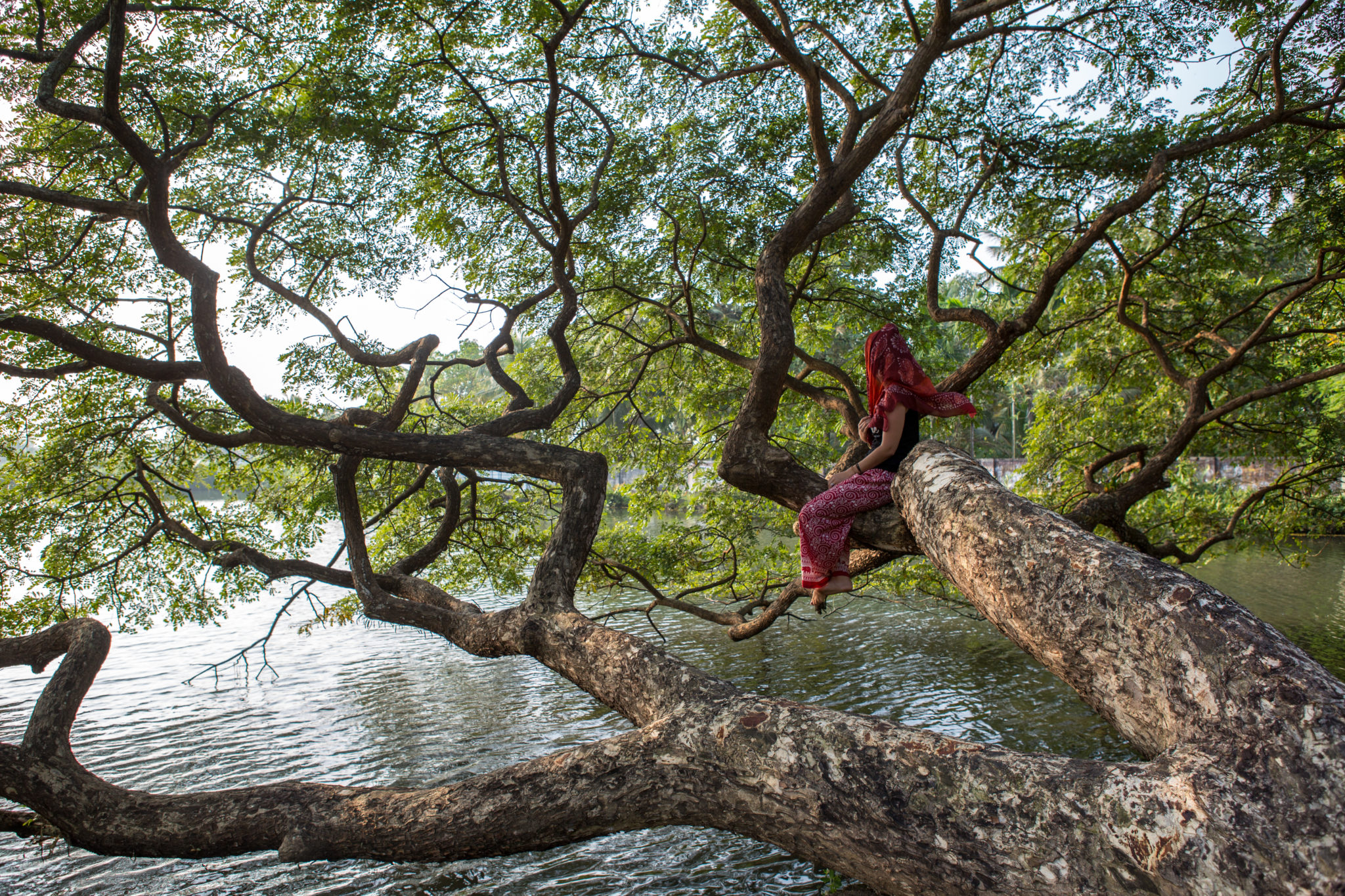 Kerala-inde-visite-cochin-voyage