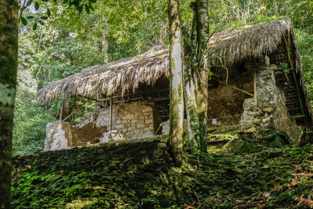Mexique-Palenque-Chiapas-Ruines-Mayas