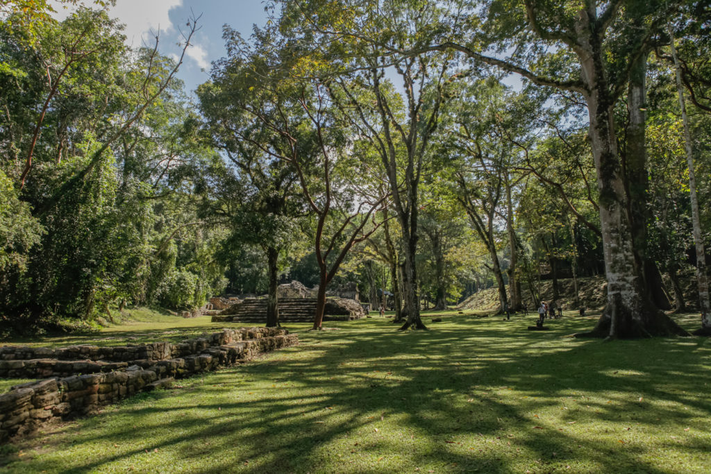 Yaxchilan-Mexique-Chiapas-Mayas-Ruines