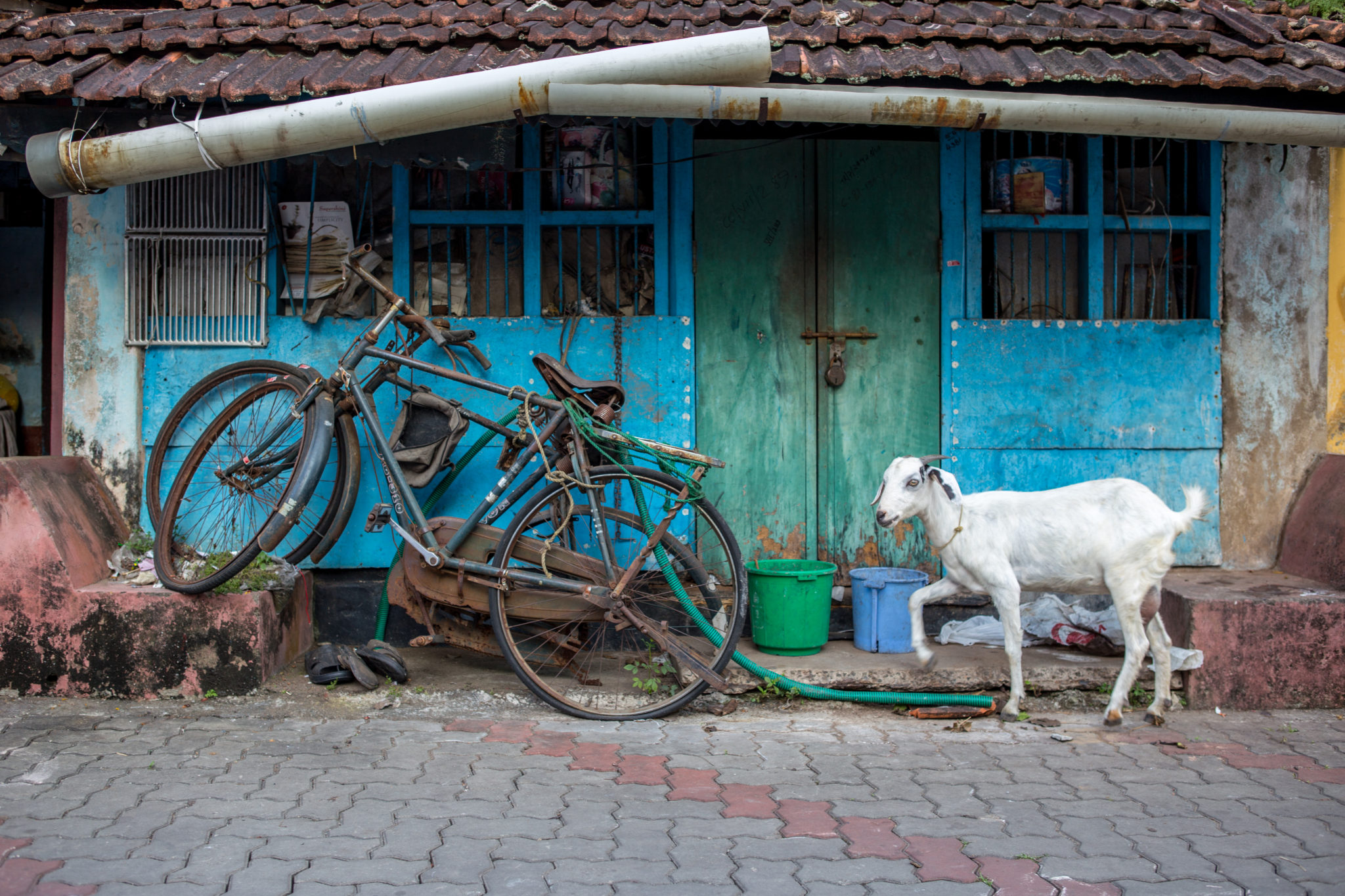 cochin-inde-visite-kerala