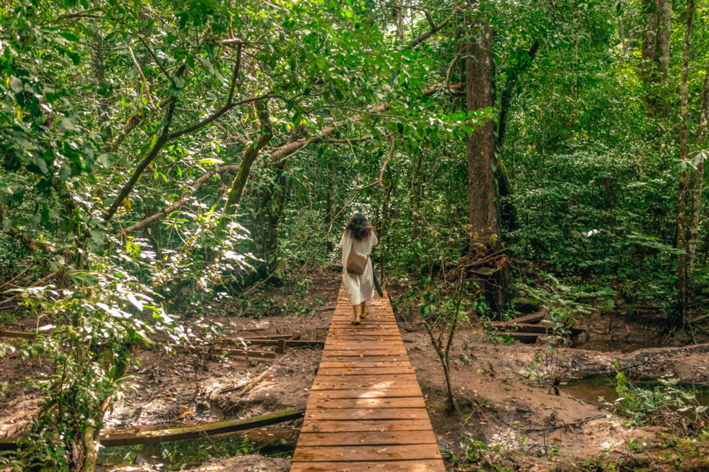 mexique-maya-communauté-lacanja-jungle