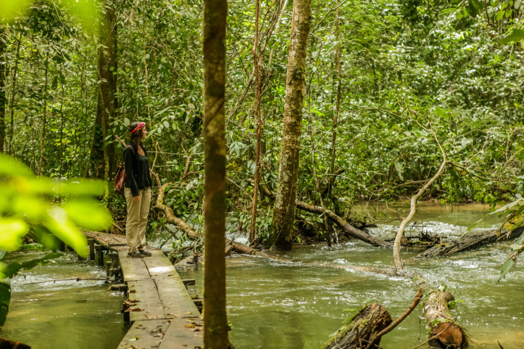 mexique-mayas-communautés-lacanja