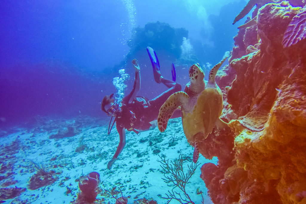plongée-sous-marine-cozumel