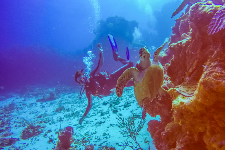 plongée-sous-marine-cozumel