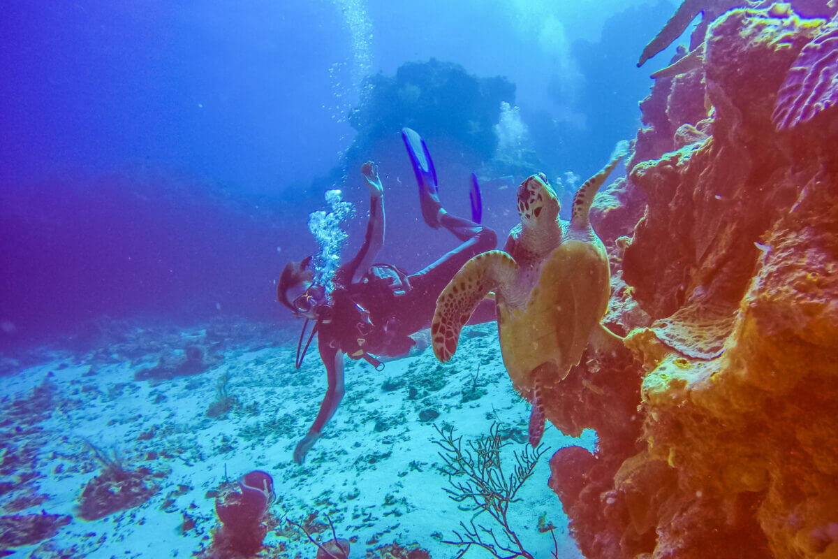 Fondatrice de la ferme de café familiale en Tanzanie