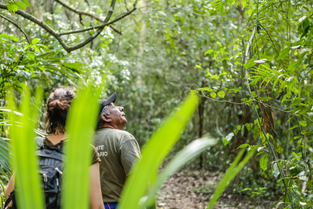 punta-laguna-mexique-maya-singes