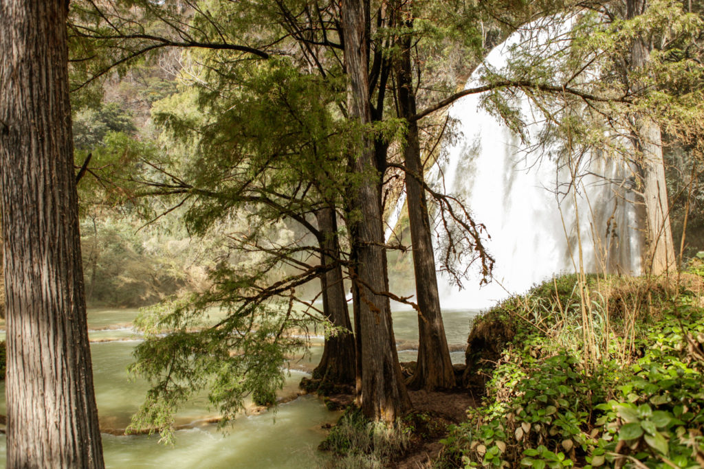 Chiapas-Cascades-Las 3 Tzimoleras-Mexique